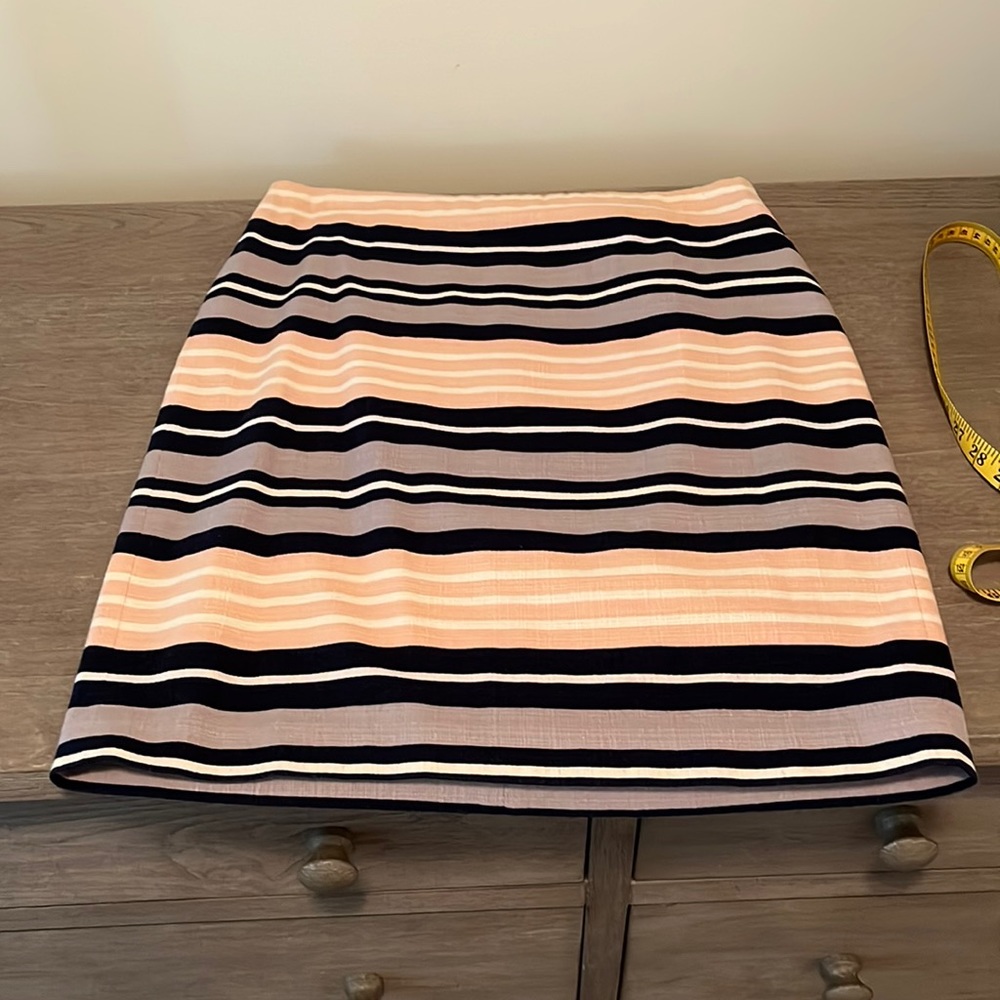 Ann Taylor skirt